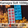 Kamagra Soft 100Mg new14